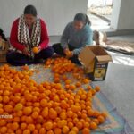 चमोली : घर के काम के साथ फूड प्रोसेसिंग यूनिट संचालित कर अपनी आर्थिकी को मजबूत कर रही महिलाएं