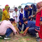 अंतर्राष्ट्रीय पर्यावरण दिवस पर ग्राम तेलीवाला में जागरूकता कार्यक्रम आयोजित